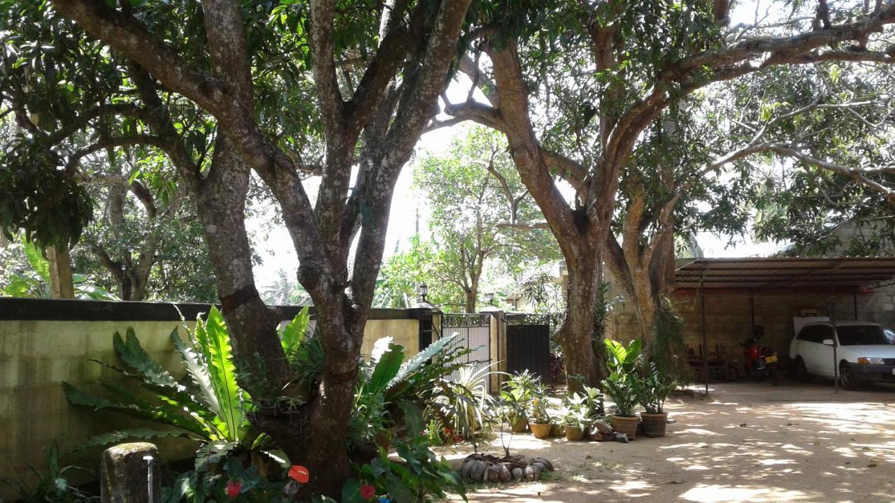 Water Front Home Stay And Resort Anuradhapura Zewnętrze zdjęcie